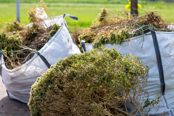 Best Yard Cleanup Services  in Wrightsville, GA